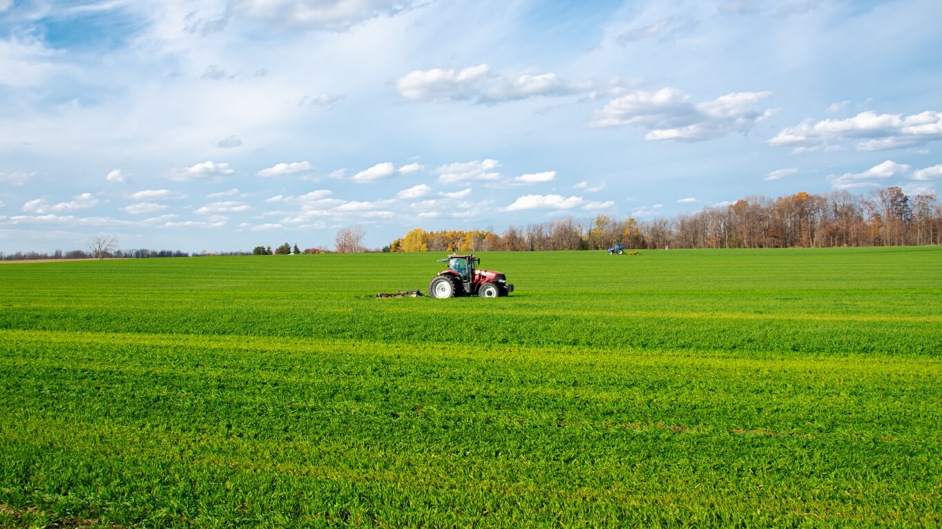 農業系・植物育成