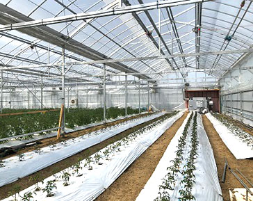 センサーを農業の皆様へ！介護に続いて次は農業へ！