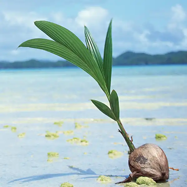 令和5年度夏季休業のお知らせ